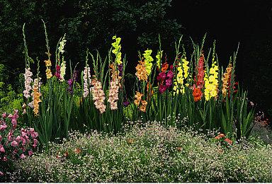 即时战斗类的轻度休闲Rogue游戏《捣塔英雄》Steam页面上线 支持简中